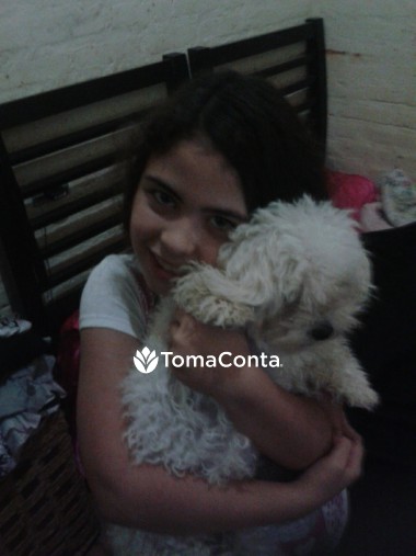 Pet Sitting (cães e gatos) e dog Walker