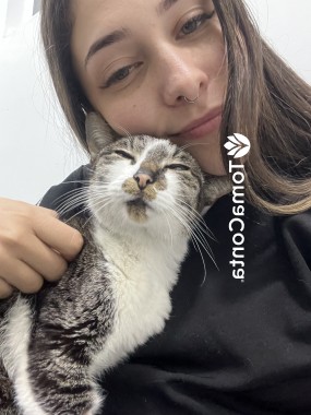 Cat Sitting - Amor, cuidado e profissionalismo para o seu melhor amigo