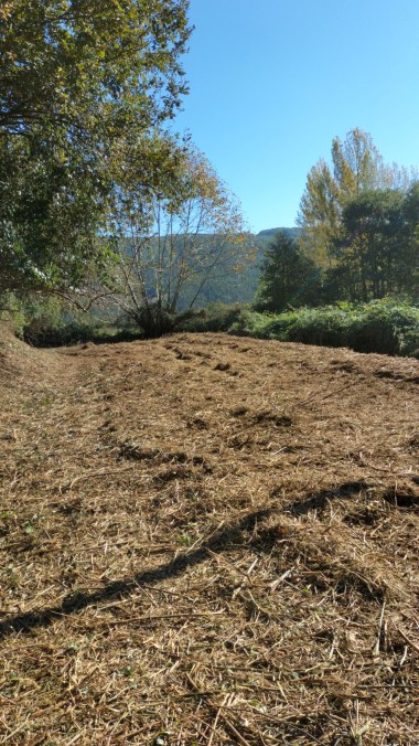 limpeza de terrenos e montes