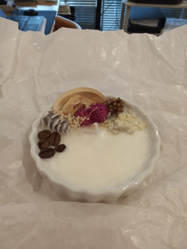 Serviços Domésticos