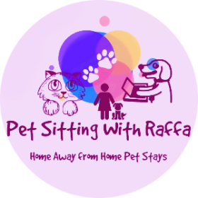 Pet Sitting with Raffa in Lisbon near the airport!
