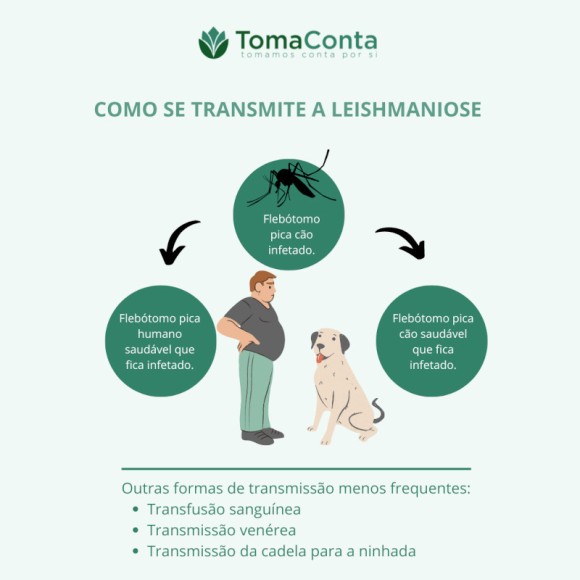 Leishmaniose canina transmissão
