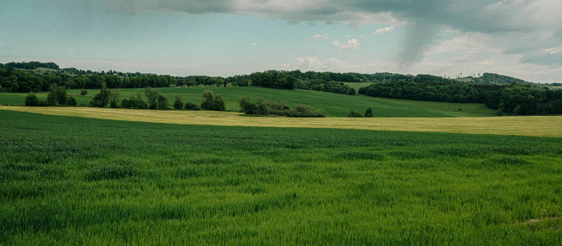 Campo verde com relva e com árvores ao fundo numa montanha à espera do registo de terrenos.