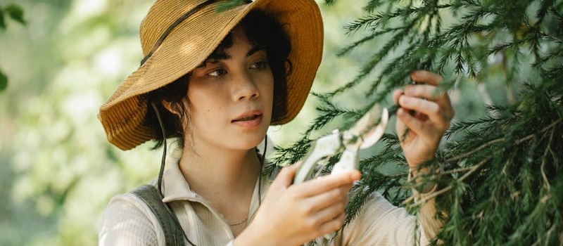 mulher com chapéu poda árvore de jardim