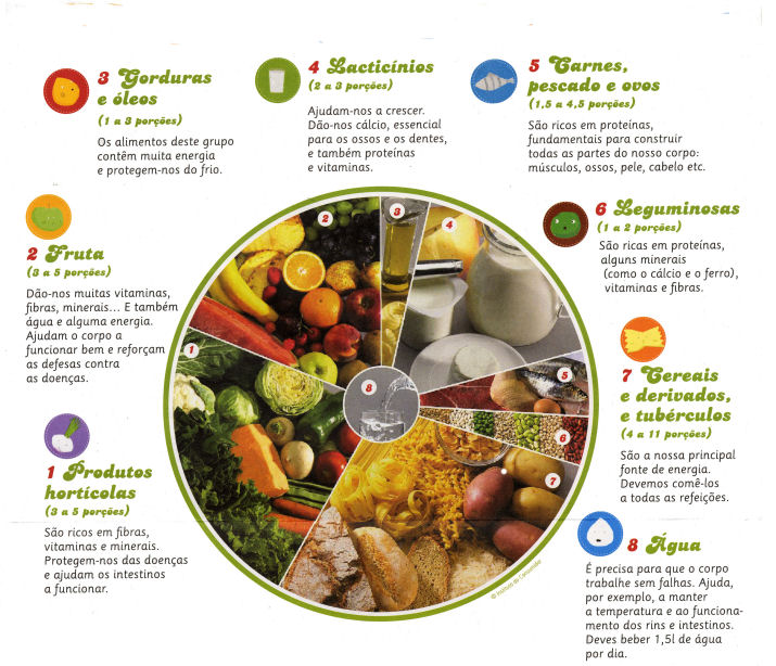 roda dos alimentos portuguesa